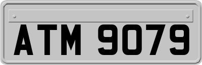 ATM9079