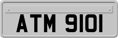 ATM9101