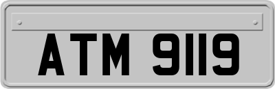 ATM9119