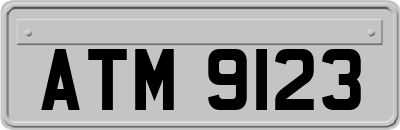ATM9123