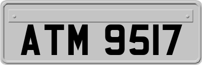 ATM9517