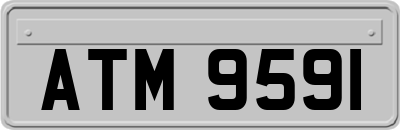 ATM9591