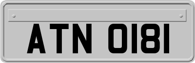 ATN0181
