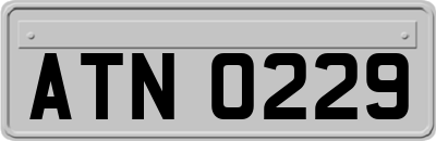 ATN0229