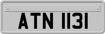 ATN1131