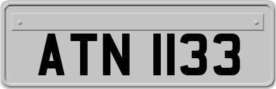 ATN1133