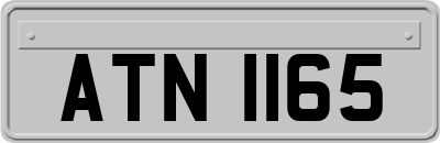 ATN1165