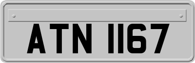 ATN1167