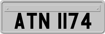 ATN1174