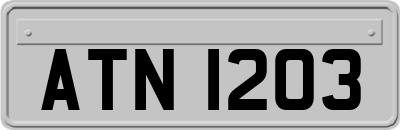 ATN1203
