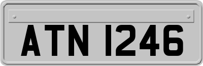 ATN1246