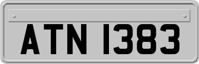 ATN1383