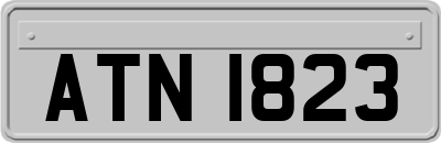 ATN1823