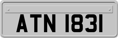 ATN1831