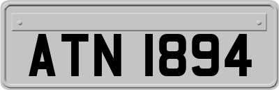 ATN1894