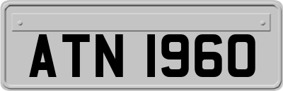 ATN1960