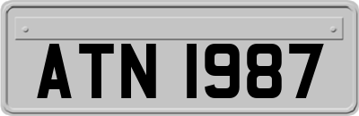 ATN1987