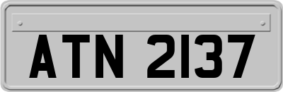 ATN2137