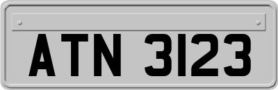 ATN3123