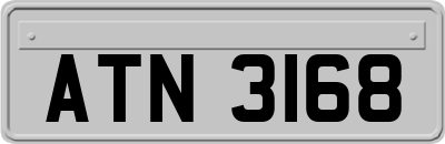 ATN3168