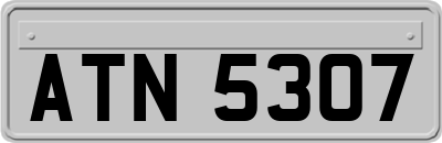 ATN5307