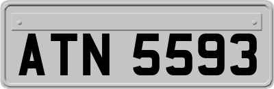 ATN5593