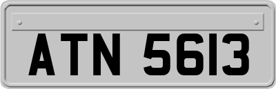 ATN5613