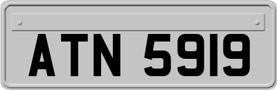 ATN5919