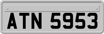 ATN5953