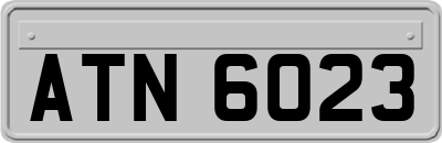 ATN6023
