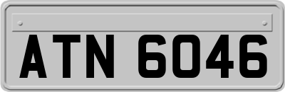 ATN6046