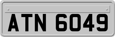 ATN6049