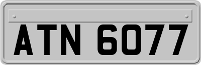 ATN6077