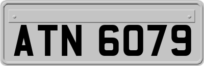 ATN6079