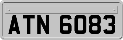 ATN6083