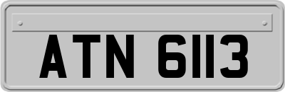 ATN6113