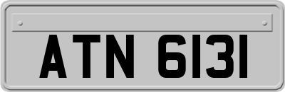 ATN6131