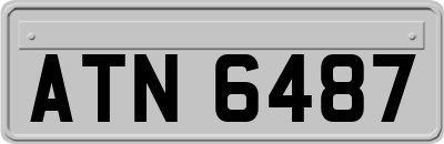 ATN6487