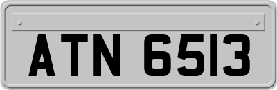 ATN6513