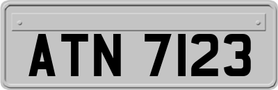 ATN7123