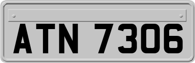 ATN7306