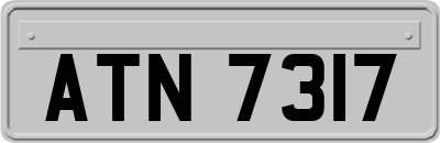 ATN7317