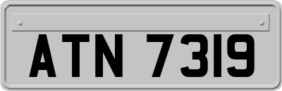 ATN7319