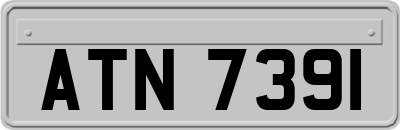 ATN7391