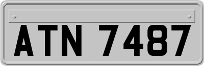ATN7487