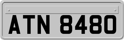 ATN8480