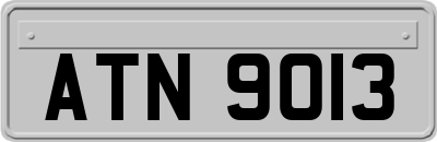 ATN9013