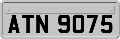 ATN9075