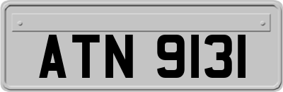 ATN9131