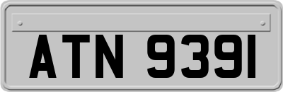 ATN9391